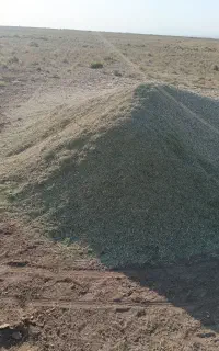 خارشتر