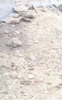 کود گوسفندی