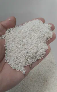 برنج طارم هاشمی