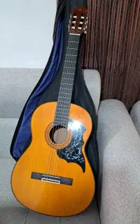 گیتار اصل
