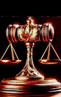 ملکی . تنظیم قراردادها . پیگیری پرونده . صغر سن