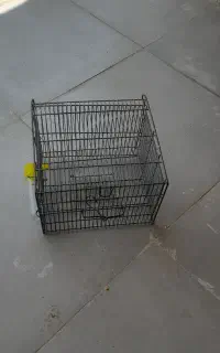 ۲عددقفس پرنده