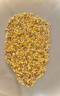 فروش ذرت مرغداری