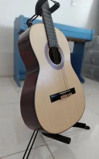 فروش و آموزش گیتار
