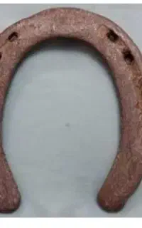 تعدادی نعل اسب هست کار کرده