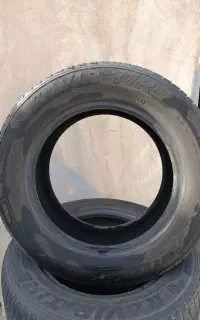 لاستیک کویر دور ۱۵، ۲۰۵