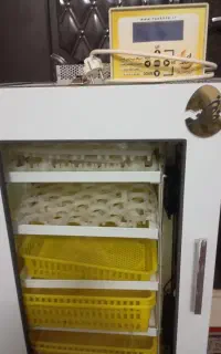 دستگاه جوجه