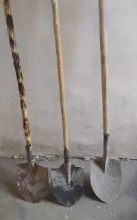 بیل ولوله و....