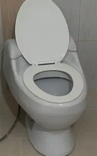توالت فرنگی