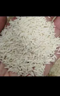 طلا