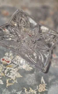 سرویس اجیل خوری