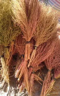 جارو کردی فروش یک جا ۲۰۰ عدد