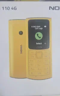 گوشی نوکیا ۱۱۰ ۴G پلمپ