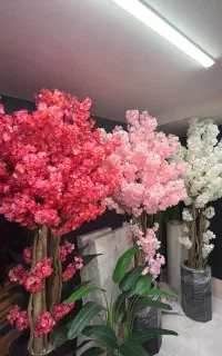 درختچه شکوفه در دومدل گرد و ال پر شکوفه
