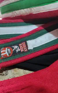شالبند کنگ فو
