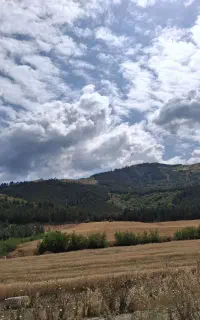 راهنمایی