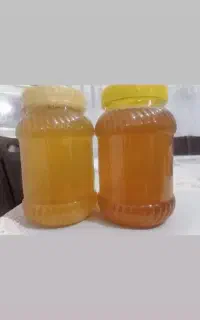 عسل