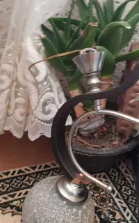 لوسترچوبی