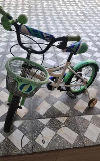 دوچرخه اینتنس