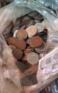 180عددسفید120عددزرد