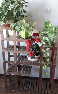 استند چوبی ۱۲ تایی