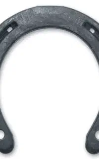 فروش نعل کهنه