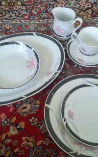 سرویس  غذا خوری