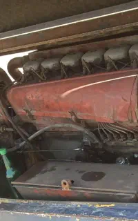 برگ سبز کمپرسور