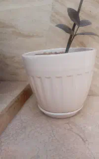 گلدون سرامیکی
