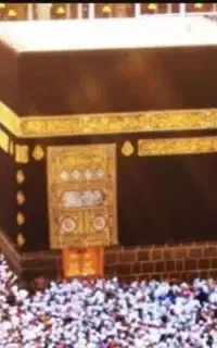 فروش سندتمتع استان البرز اعلام شده ۱۴۰۶