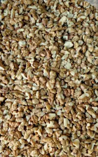 مغز گردو دندانه سفید