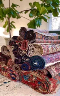 قالیشویی/ مبلشویی/فدک/فضل آباد/مدرس