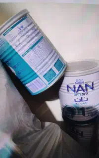 قوطی