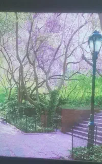 تابلو ال ای دی
