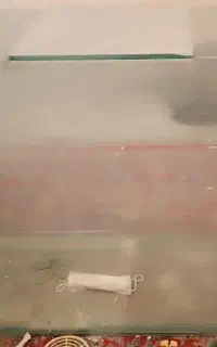 آکواریوم