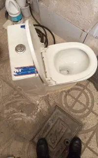 توالت فرنگی فروشی