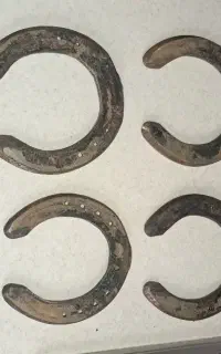 فروش نعل