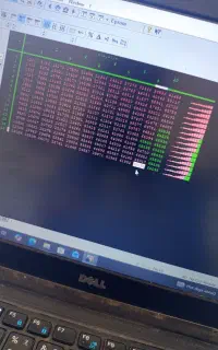 ریمپ و سازگاری با بنزین