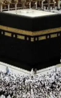 فیش حج تمتع ۸۶