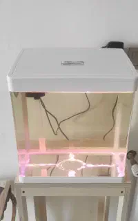 آکواریوم شرکتی