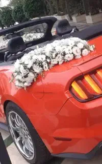 موزیک و فیلمبرداری