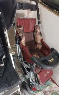 کالسکه،کریک،صندلی غذابچه