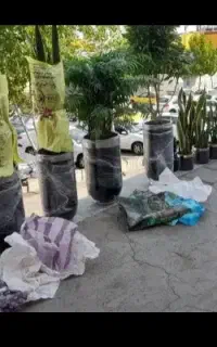 کاشت گل و محوطه‌سازی بازسازی و احیای فضای سبز