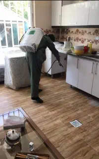 سمپاشی کلیه حشرات سوسک سم پاشی ساس کنه تضمین ۱۰۰٪