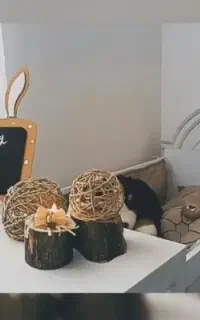 تخت و کمد کودک، سرویس خواب کودک