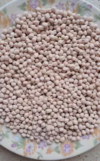 فروش نخود تمیز. وخوش پخت