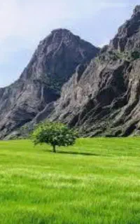 طبیعت گردی