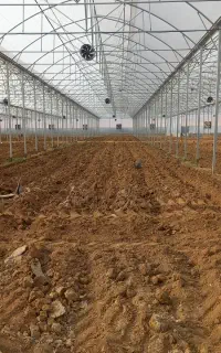 خریدوفروش گلخانه نو ودست دوم