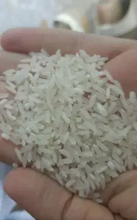 برنج پاکستانی آرسیکس