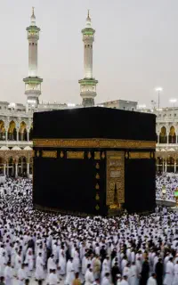 خرید و فروش فیش حج